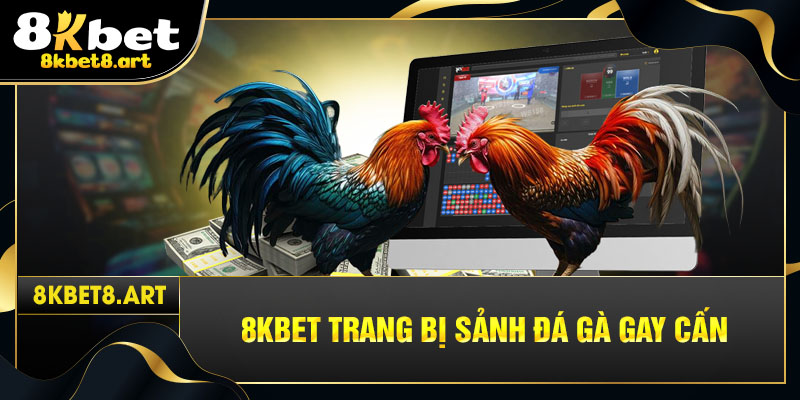 8kbet trang bị sảnh đá gà gay cấn
