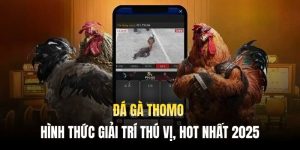 Đá Gà Thomo - Hình Thức Giải Trí Thú Vị, Hot Nhất 2025
