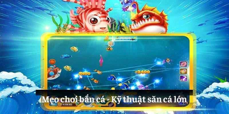 Kỹ thuật săn cá lớn hiệu quả và dễ áp dụng