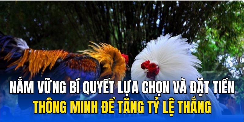 Nắm vững bí quyết lựa chọn và đặt tiền thông minh để tăng tỷ lệ thắng