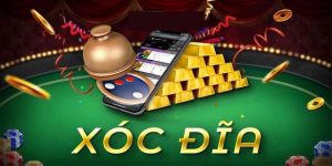 Xóc Đĩa 8Kbet - Trò Chơi Giải Trí Không Nên Bỏ Qua